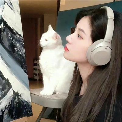 魔法师的猫